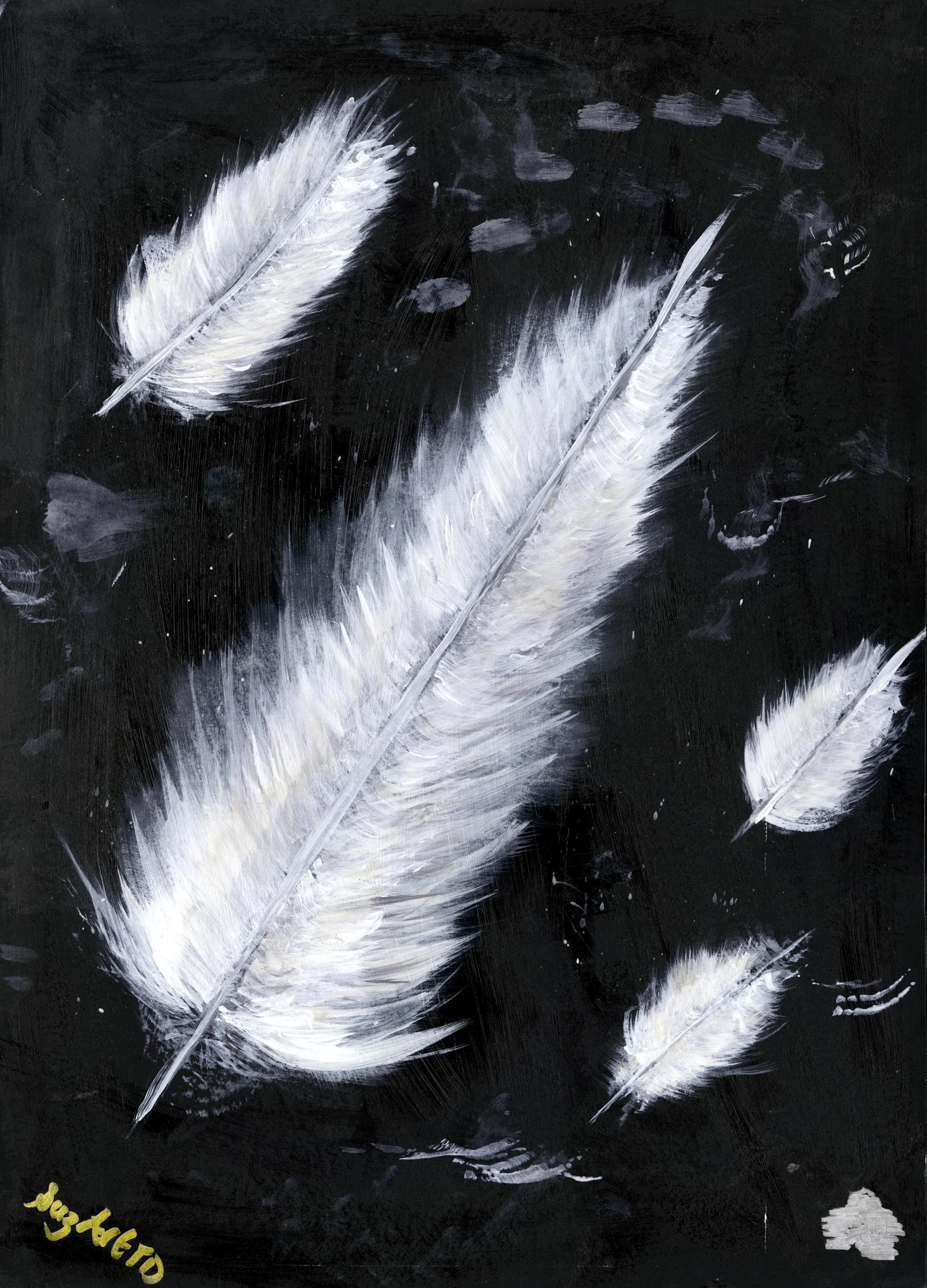 Lucky White Feathers by Suzanne Taylor Dreaves
